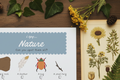 iSpy Nature - Printable